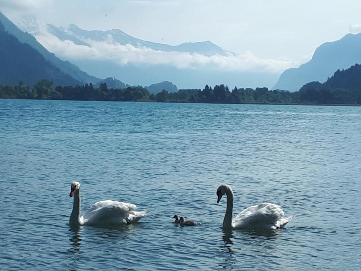 Berner Oberland Am Thunersee Därligen Buitenkant foto