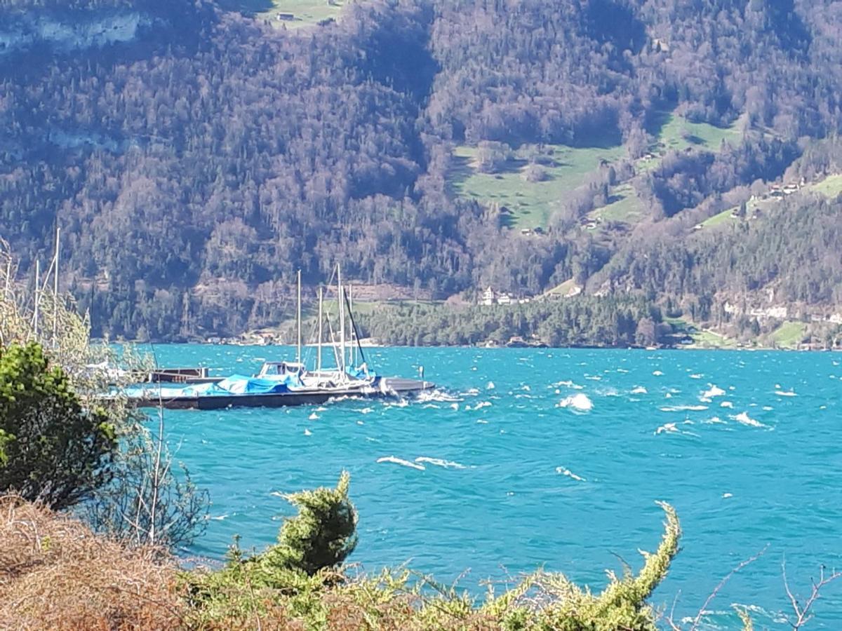 Berner Oberland Am Thunersee Därligen Buitenkant foto